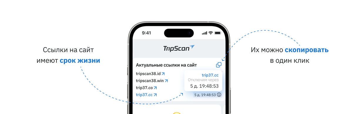 Трипскан зеркало 2025